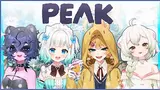 Preview of Dokibird's stream