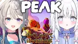 Preview of 本阿弥あずさ (Azusa Honami)'s stream